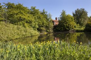 Hethersett, Norfolk  25.jpg